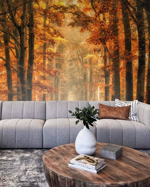 MARBURG | Golden Forest Autumn